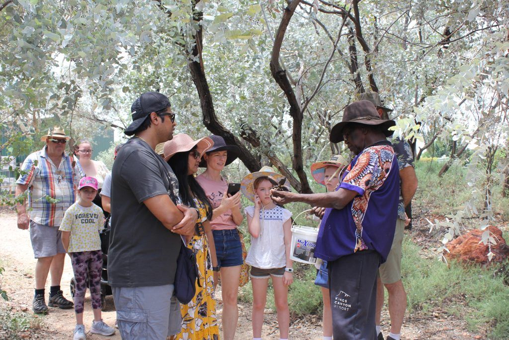 Outback Cultural Heritage Tours | Gekko Safari South Australia